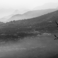 中国风•烟雨大岭山