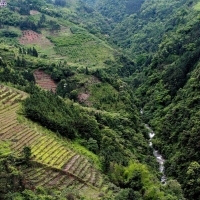 瑶山图（恭城西岭棉花地）