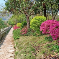 滨江春色