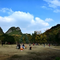 西山麻鹊满地飞