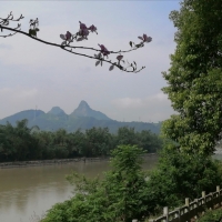 雨后茶江景