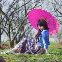 梨花深俏人佳