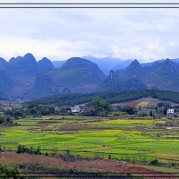 大岭山风光