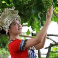 酸葡萄与美少女