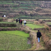 行摄赣州深山