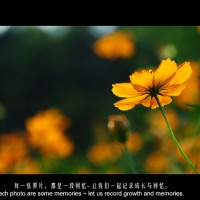 流浪的那段时间。