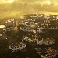 晨雾下的丰收