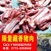 桂林恭城银殿山藏香猪养殖有限公司539 / 作者:藏香猪养殖 / 帖子ID:107379