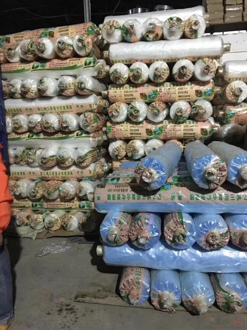 恭城意达百货批：  天气极速降温，山东砂糖橘膜 和绳子大量现货，欢迎下单 ...634 / 作者:A翟宅宅宅 / 帖子ID:312518