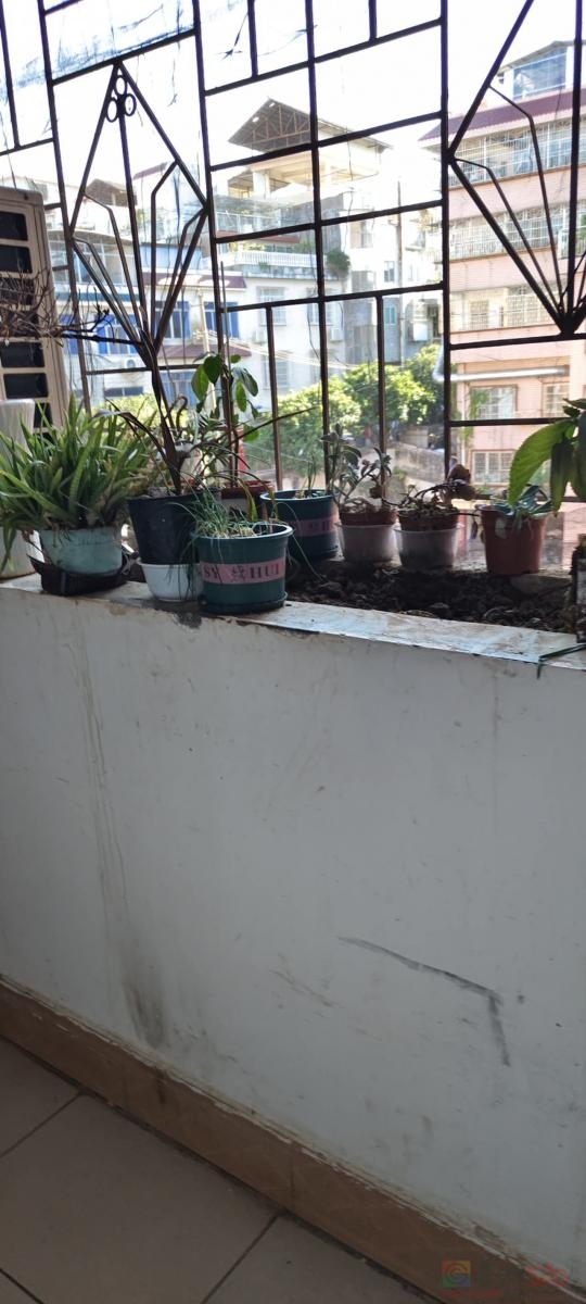 位于城中西路印山街口，三室两厅一厨一卫，110cm?，交通、购物、休闲、停车 ...908 / 作者:春姑娘 / 帖子ID:320803