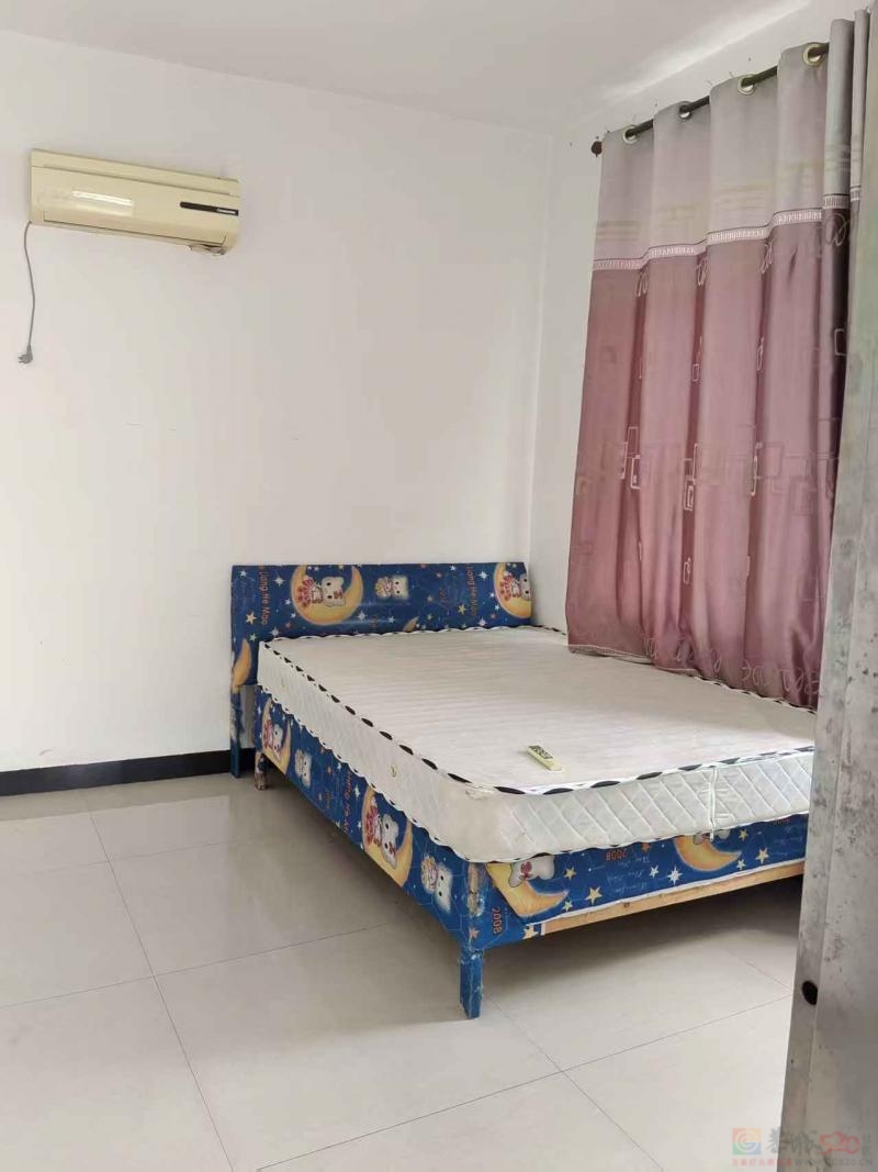 恭城东路八巷十一号520元647 / 作者:O_o5 / 帖子ID:320898