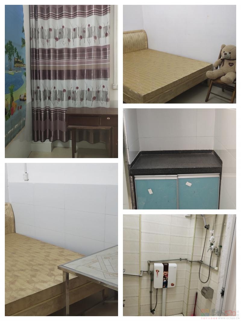 1房1厅出租＇独立卫生间＇849 / 作者:情归何处@ / 帖子ID:321100