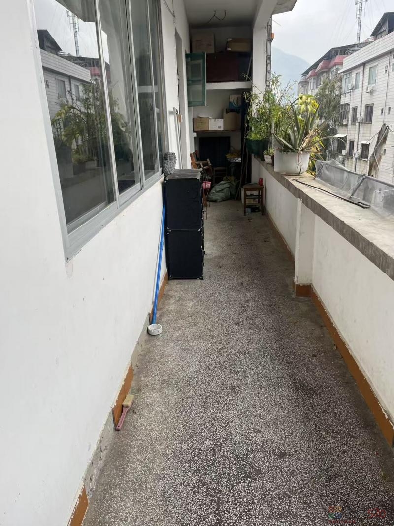 林业局宿舍四楼三室一厅一卫一厨869 / 作者:^_^^_^72 / 帖子ID:321103